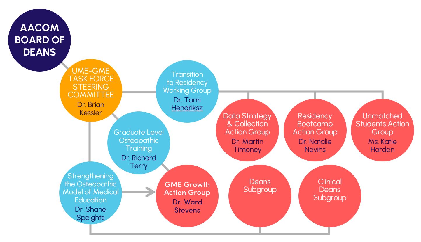 The UME GME Task Force reports to AACOM's Board of Deans. It has 3 focus areas, 4 action groups and two subgroups.